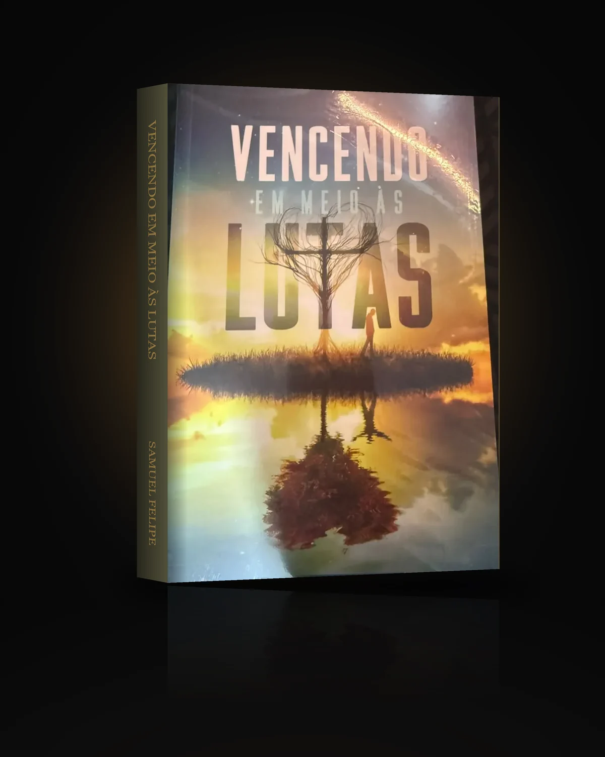 Vencendo em Meio às Lutas